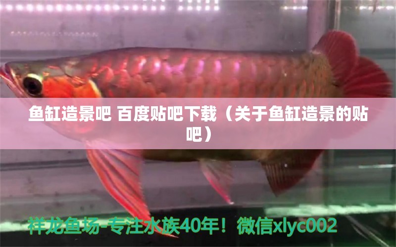 魚缸造景吧 百度貼吧下載（關(guān)于魚缸造景的貼吧） 金頭過背金龍魚