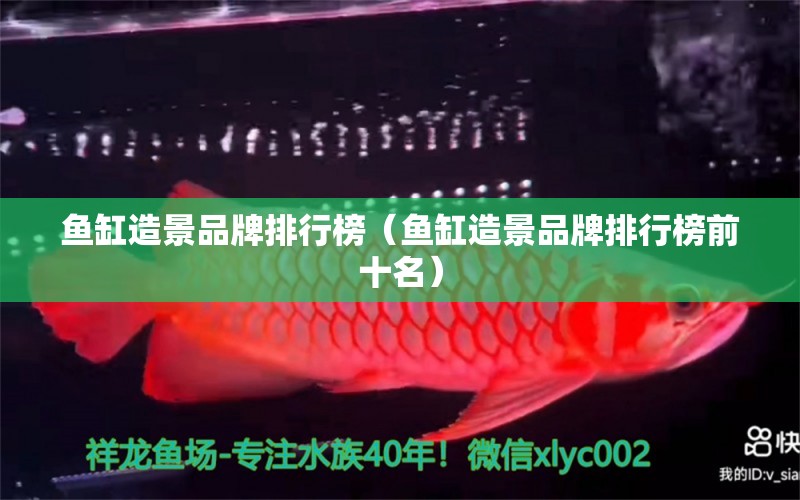 魚缸造景品牌排行榜（魚缸造景品牌排行榜前十名）