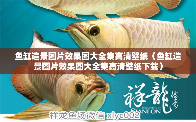 魚缸造景圖片效果圖大全集高清壁紙（魚缸造景圖片效果圖大全集高清壁紙下載）