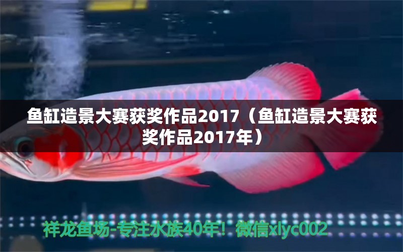 魚(yú)缸造景大賽獲獎(jiǎng)作品2017（魚(yú)缸造景大賽獲獎(jiǎng)作品2017年）