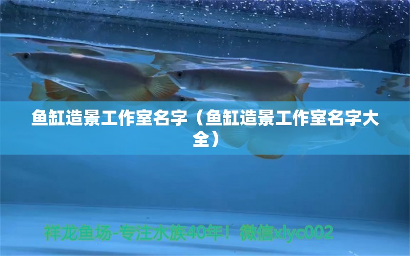 魚缸造景工作室名字（魚缸造景工作室名字大全） 祥龍水族醫(yī)院