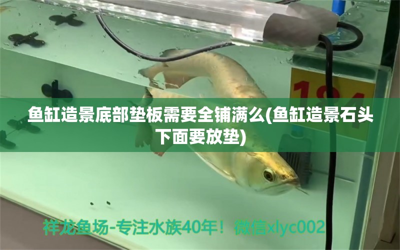 魚(yú)缸造景底部墊板需要全鋪滿么(魚(yú)缸造景石頭下面要放墊) 定時(shí)器/自控系統(tǒng)