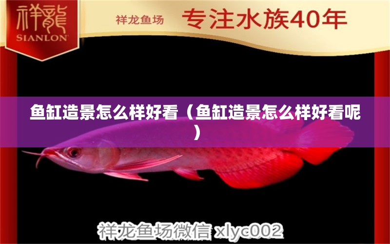 魚缸造景怎么樣好看（魚缸造景怎么樣好看呢）