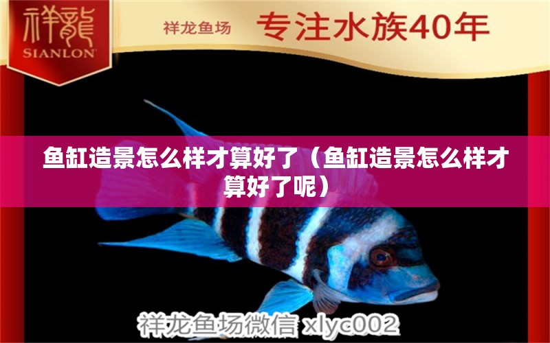 魚缸造景怎么樣才算好了（魚缸造景怎么樣才算好了呢）