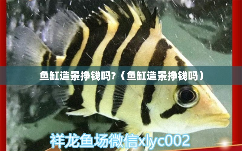 魚缸造景掙錢嗎?（魚缸造景掙錢嗎） 祥龍水族醫(yī)院