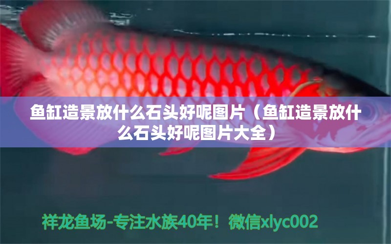 魚缸造景放什么石頭好呢圖片（魚缸造景放什么石頭好呢圖片大全） 南美異形觀賞魚