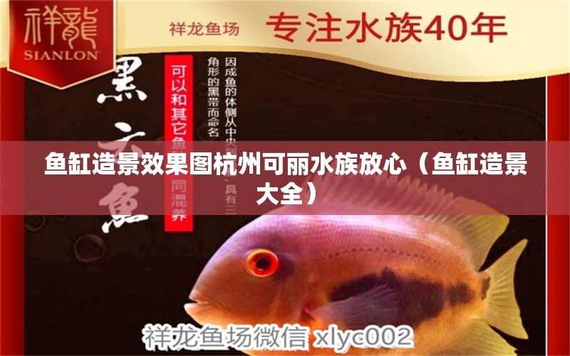 魚(yú)缸造景效果圖杭州可麗水族放心（魚(yú)缸造景大全）