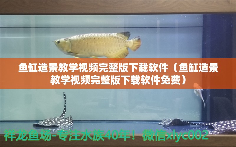 魚缸造景教學(xué)視頻完整版下載軟件（魚缸造景教學(xué)視頻完整版下載軟件免費(fèi)） 孵化器