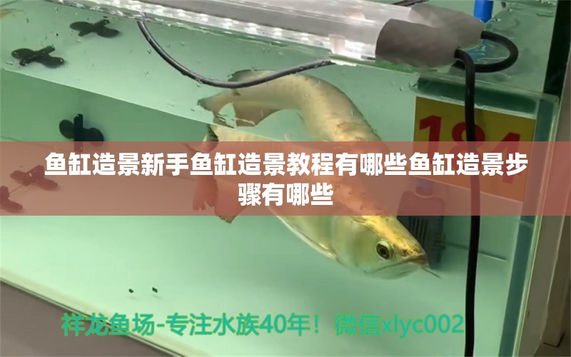 魚(yú)缸造景新手魚(yú)缸造景教程有哪些魚(yú)缸造景步驟有哪些