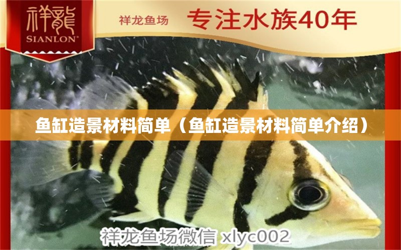 魚缸造景材料簡單（魚缸造景材料簡單介紹） 斑馬鴨嘴魚