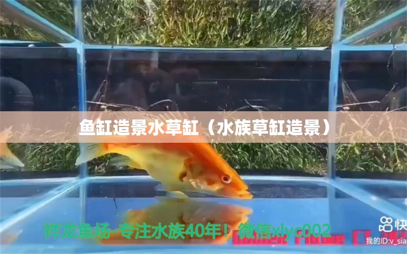 魚(yú)缸造景水草缸（水族草缸造景）