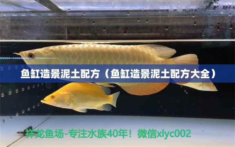 魚缸造景泥土配方（魚缸造景泥土配方大全） 白子球鯊魚