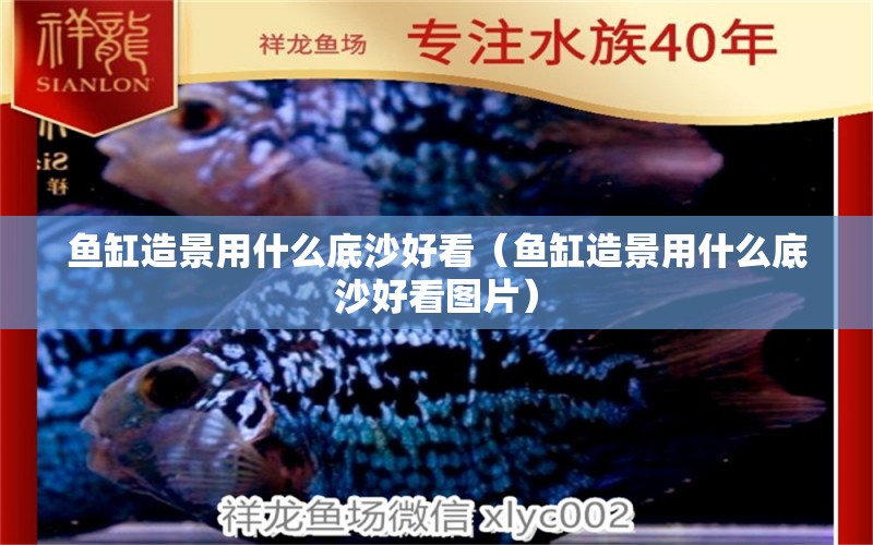 魚缸造景用什么底沙好看（魚缸造景用什么底沙好看圖片） 海象魚