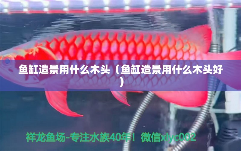 魚缸造景用什么木頭（魚缸造景用什么木頭好）