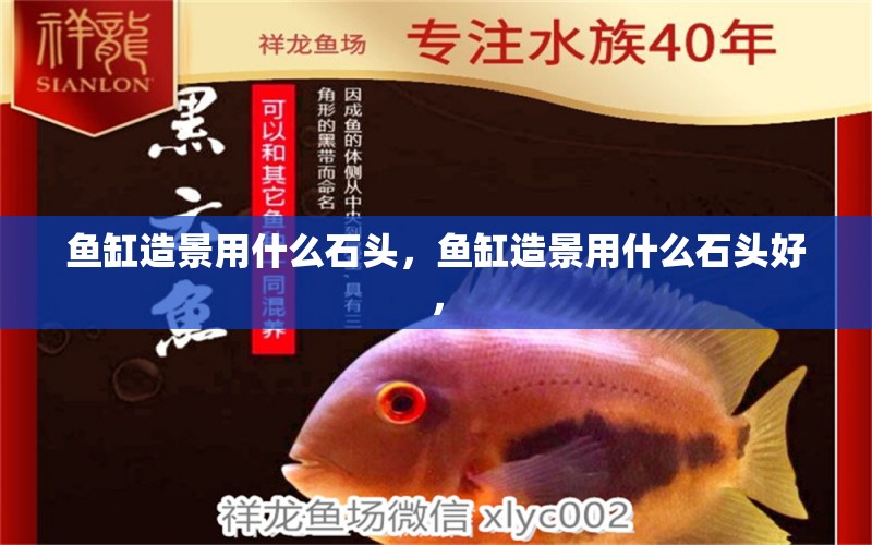 魚缸造景用什么石頭，魚缸造景用什么石頭好， 養(yǎng)魚知識