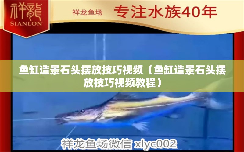 魚缸造景石頭擺放技巧視頻（魚缸造景石頭擺放技巧視頻教程）