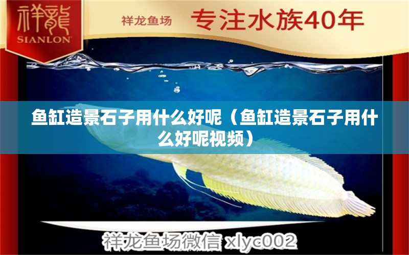 魚(yú)缸造景石子用什么好呢（魚(yú)缸造景石子用什么好呢視頻）