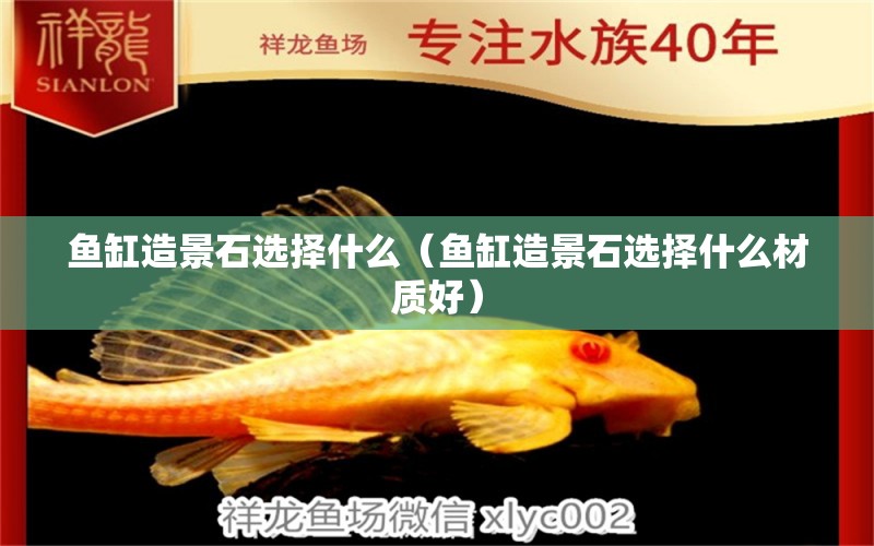 魚缸造景石選擇什么（魚缸造景石選擇什么材質(zhì)好）