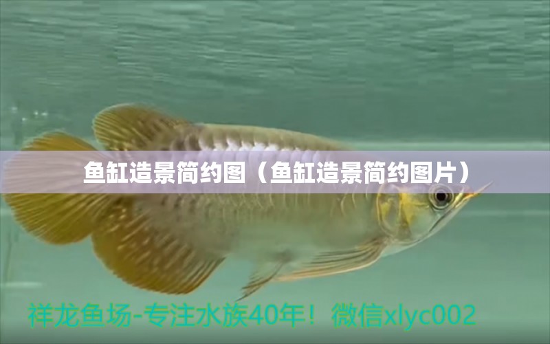 魚(yú)缸造景簡(jiǎn)約圖（魚(yú)缸造景簡(jiǎn)約圖片）