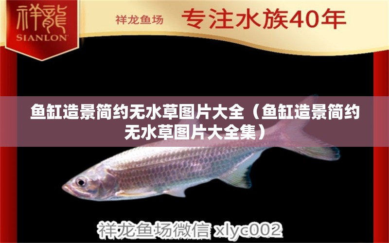 魚(yú)缸造景簡(jiǎn)約無(wú)水草圖片大全（魚(yú)缸造景簡(jiǎn)約無(wú)水草圖片大全集）