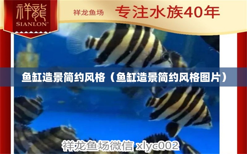 魚(yú)缸造景簡(jiǎn)約風(fēng)格（魚(yú)缸造景簡(jiǎn)約風(fēng)格圖片）