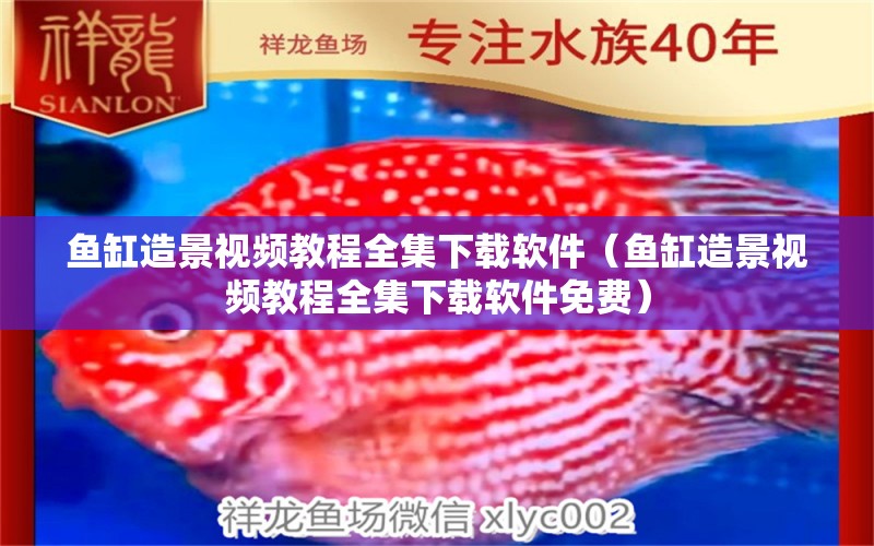 魚缸造景視頻教程全集下載軟件（魚缸造景視頻教程全集下載軟件免費）