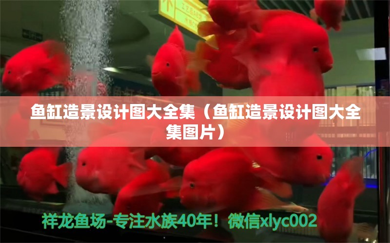 魚缸造景設(shè)計(jì)圖大全集（魚缸造景設(shè)計(jì)圖大全集圖片）