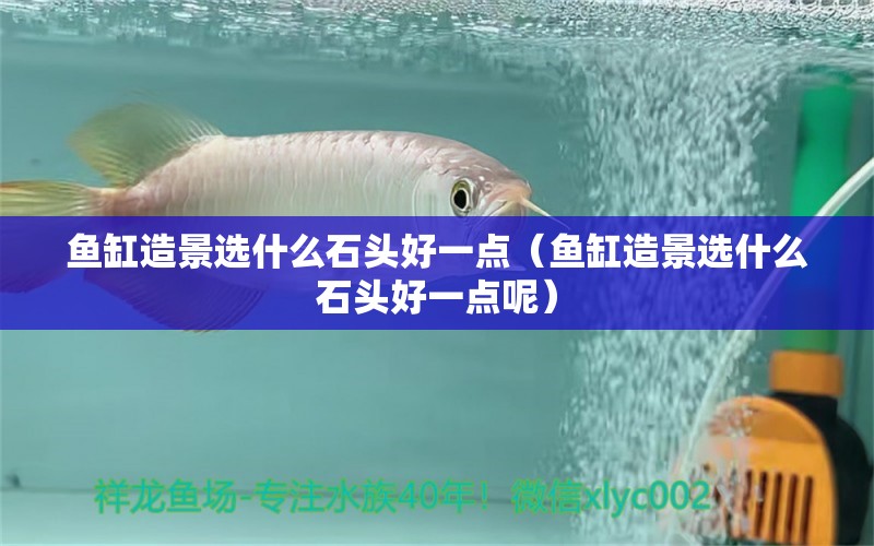 魚(yú)缸造景選什么石頭好一點(diǎn)（魚(yú)缸造景選什么石頭好一點(diǎn)呢） 觀賞魚(yú)水族批發(fā)市場(chǎng)