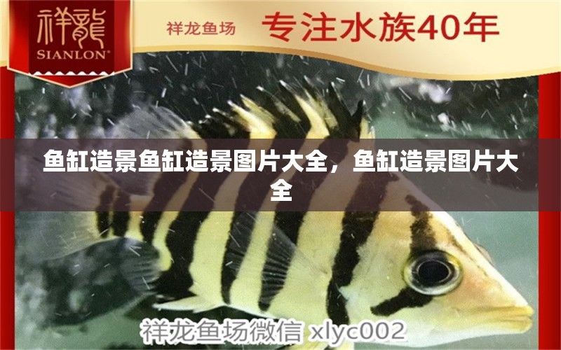 魚缸造景魚缸造景圖片大全，魚缸造景圖片大全 小型觀賞魚