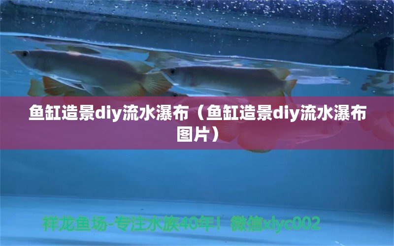 魚缸造景diy流水瀑布（魚缸造景diy流水瀑布圖片） 祥龍魚場