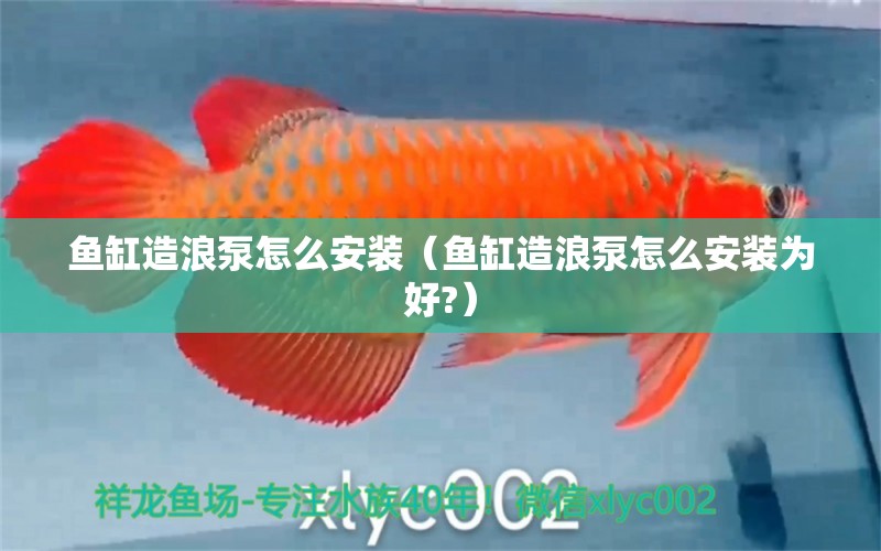 魚(yú)缸造浪泵怎么安裝（魚(yú)缸造浪泵怎么安裝為好?）