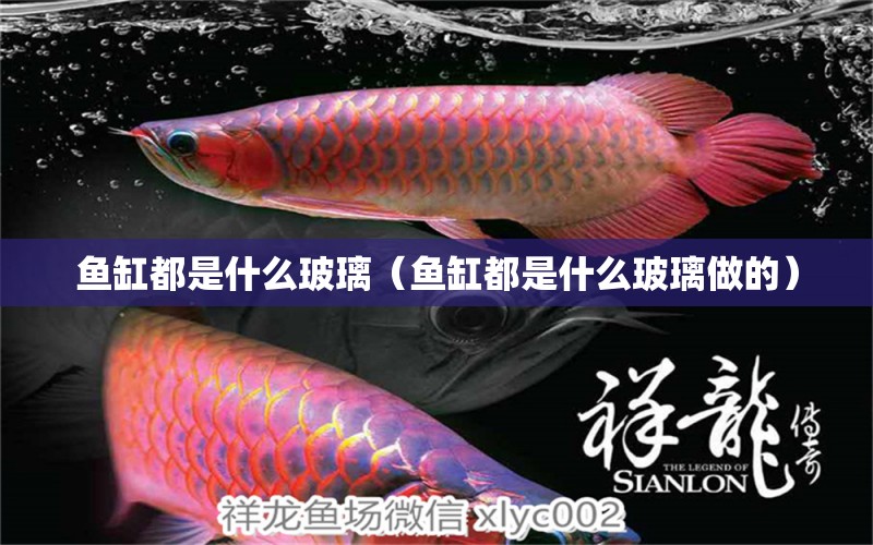 魚(yú)缸都是什么玻璃（魚(yú)缸都是什么玻璃做的）