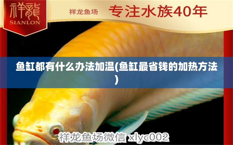 魚(yú)缸都有什么辦法加溫(魚(yú)缸最省錢(qián)的加熱方法) 金頭過(guò)背金龍魚(yú)