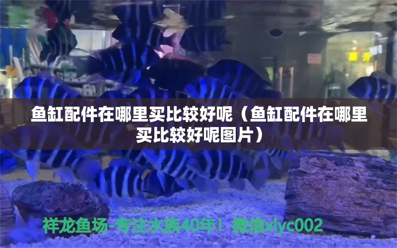 魚缸配件在哪里買比較好呢（魚缸配件在哪里買比較好呢圖片）