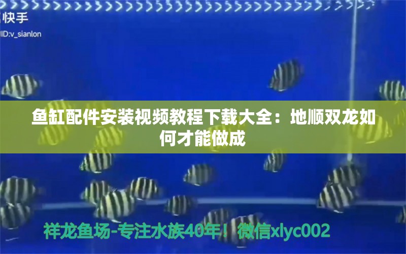 魚缸配件安裝視頻教程下載大全：地順雙龍如何才能做成 養(yǎng)魚的好處 第1張