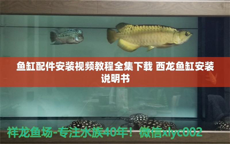 魚缸配件安裝視頻教程全集下載 西龍魚缸安裝說明書 養(yǎng)魚的好處 第1張