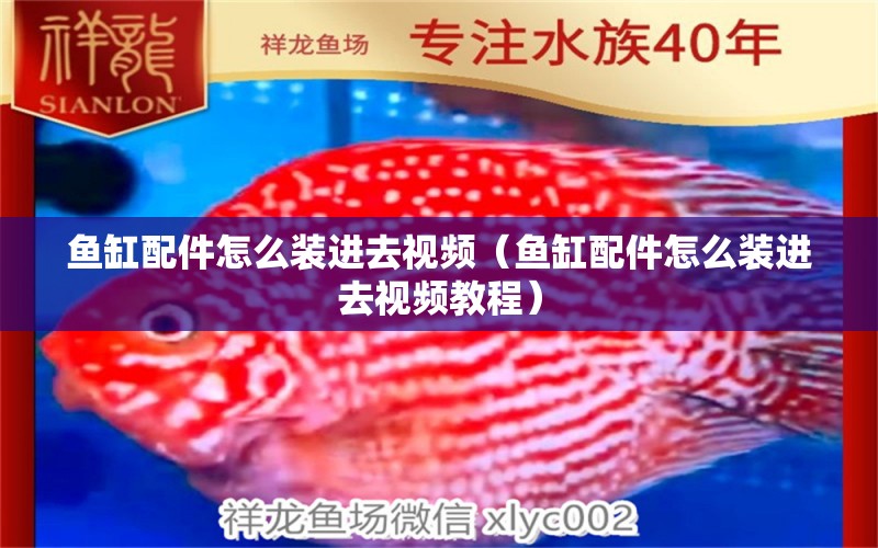 魚缸配件怎么裝進(jìn)去視頻（魚缸配件怎么裝進(jìn)去視頻教程）