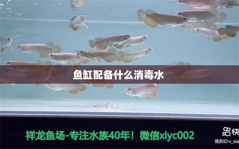 魚缸配備什么消毒水 