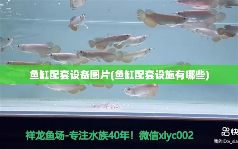 魚缸配套設(shè)備圖片(魚缸配套設(shè)施有哪些) 銀古魚苗