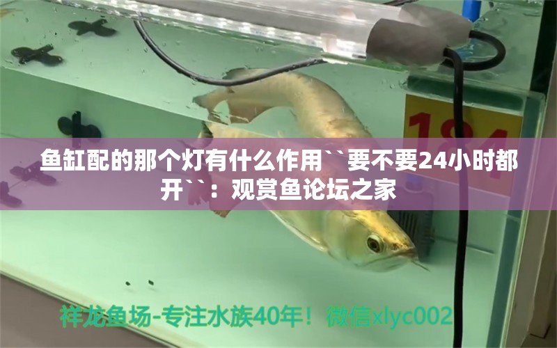 魚缸配的那個燈有什么作用``要不要24小時都開``：觀賞魚論壇之家