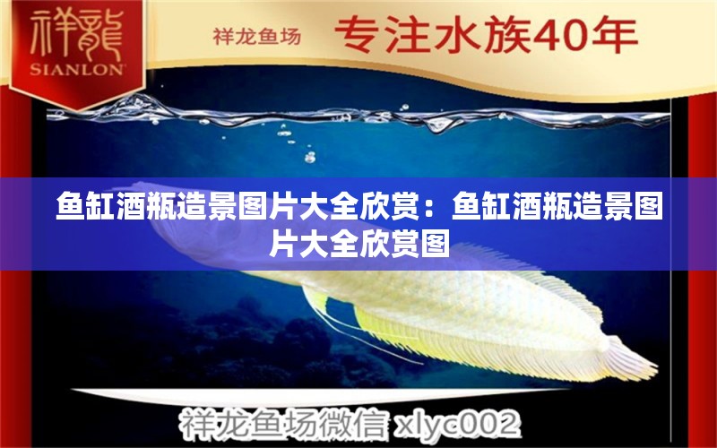 魚缸酒瓶造景圖片大全欣賞：魚缸酒瓶造景圖片大全欣賞圖 廣州水族批發(fā)市場(chǎng)