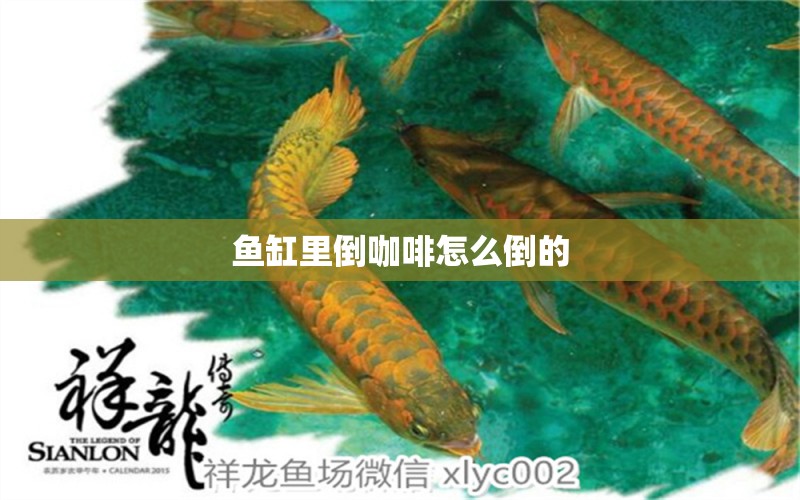 魚缸里倒咖啡怎么倒的