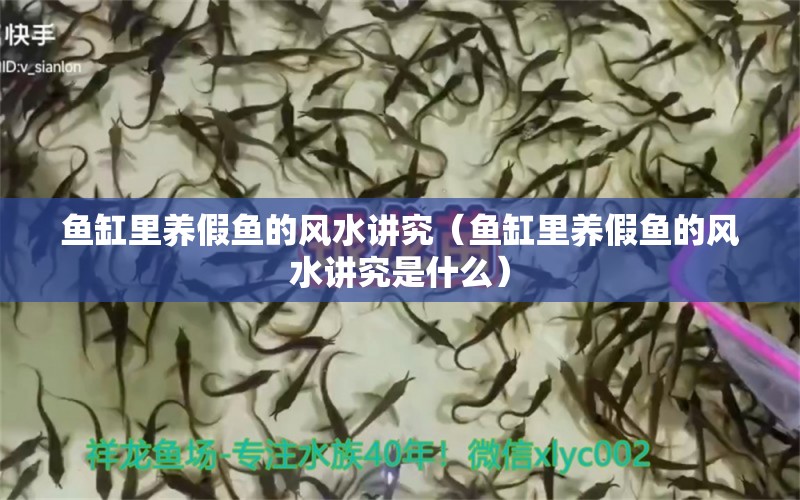 魚缸里養(yǎng)假魚的風(fēng)水講究（魚缸里養(yǎng)假魚的風(fēng)水講究是什么）