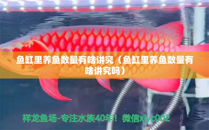 魚缸里養(yǎng)魚數(shù)量有啥講究（魚缸里養(yǎng)魚數(shù)量有啥講究嗎）