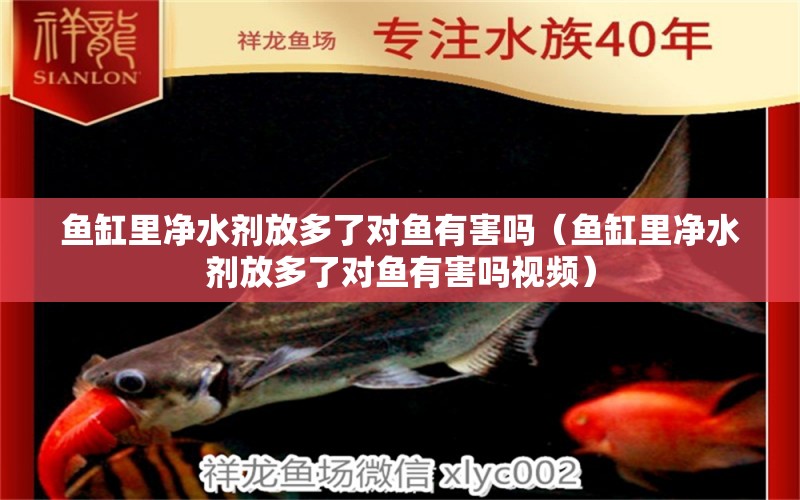 魚缸里凈水劑放多了對魚有害嗎（魚缸里凈水劑放多了對魚有害嗎視頻）