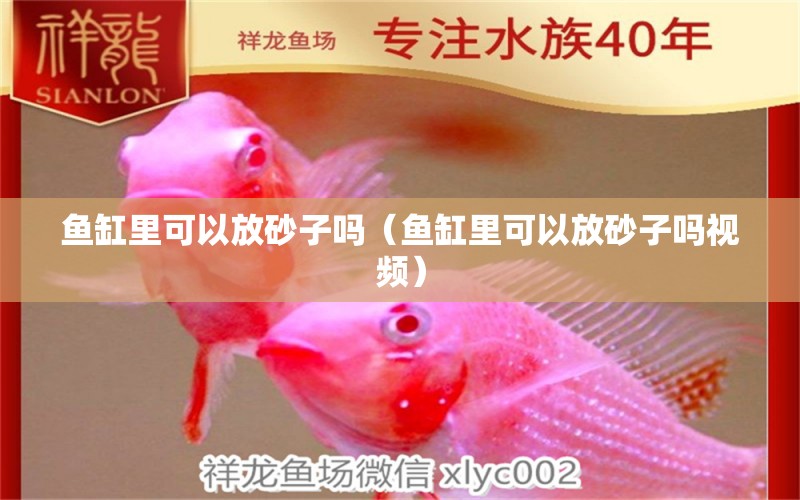 魚缸里可以放砂子嗎（魚缸里可以放砂子嗎視頻） 馬拉莫寶石魚