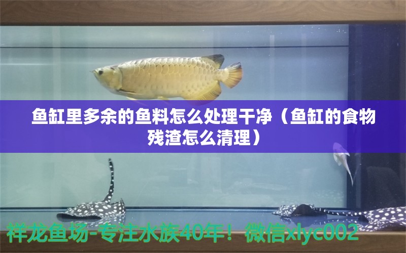 魚缸里多余的魚料怎么處理干凈（魚缸的食物殘渣怎么清理） 埃及神仙魚