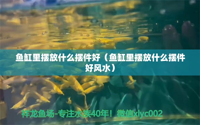 魚缸里擺放什么擺件好（魚缸里擺放什么擺件好風(fēng)水） 祥龍超血紅龍魚