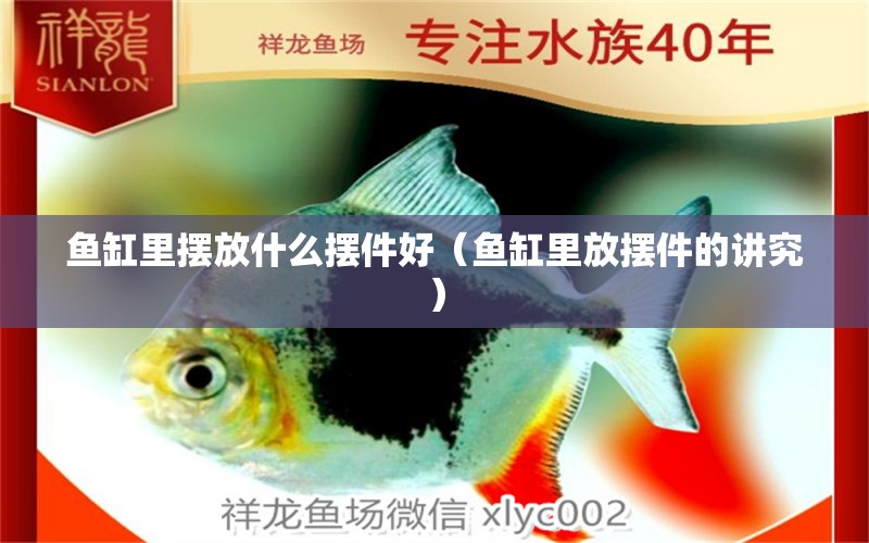 魚缸里擺放什么擺件好（魚缸里放擺件的講究）