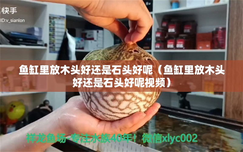 魚缸里放木頭好還是石頭好呢（魚缸里放木頭好還是石頭好呢視頻） 其他品牌魚缸